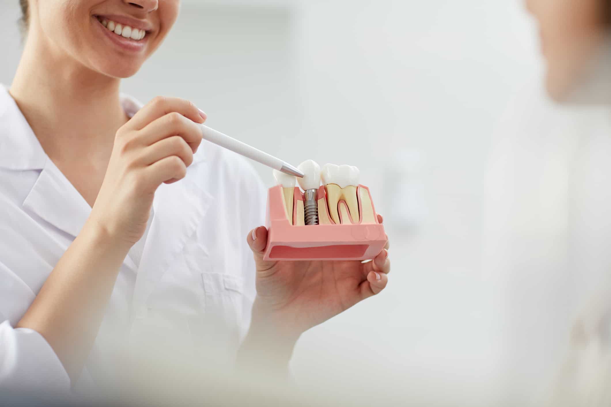Mid section closeup of smiling female dentist holding tooth model while consulting patient in clinic, copy space